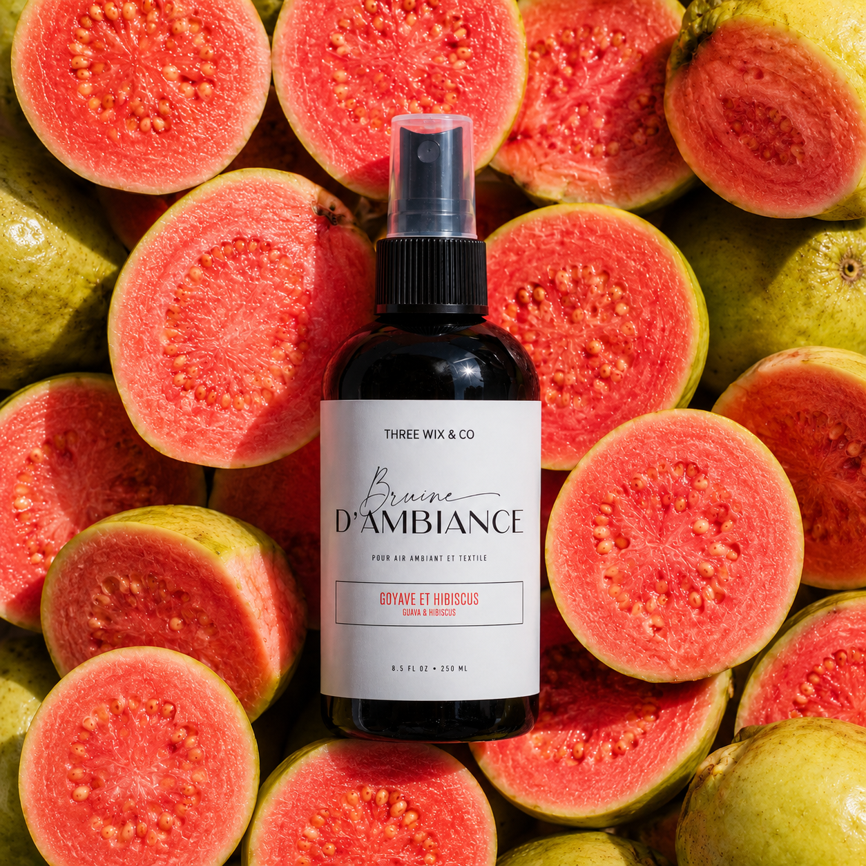 GUAVA HIBISCUS