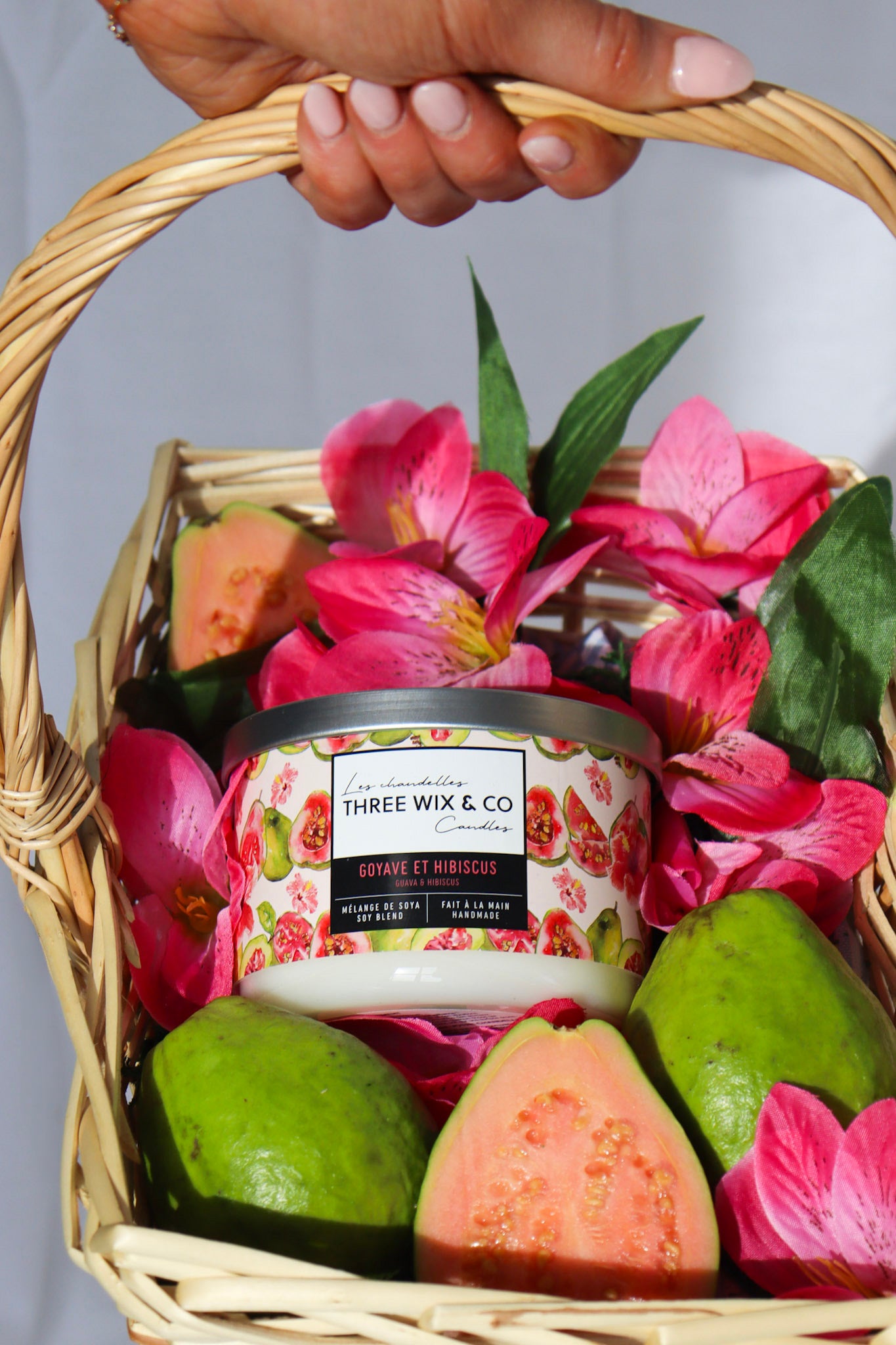 GOYAVE ET HIBISCUS